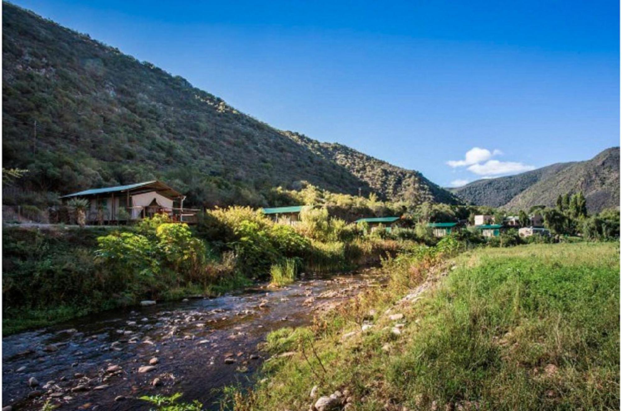 Old Mill Lodge, Seasonal Working Ostrich Farm & Restaurant, Oudtshoorn Quarto foto
