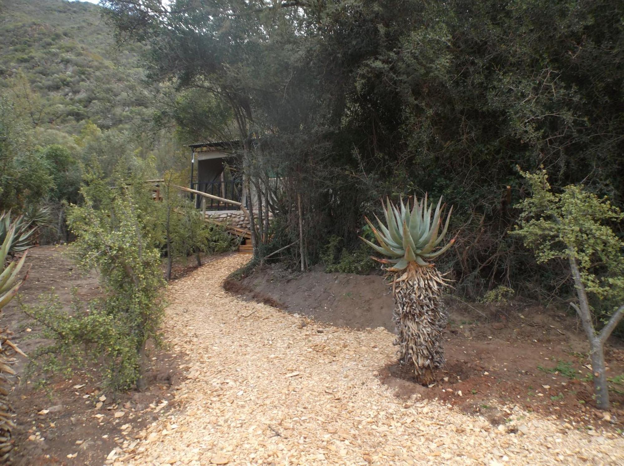 Old Mill Lodge, Seasonal Working Ostrich Farm & Restaurant, Oudtshoorn Quarto foto