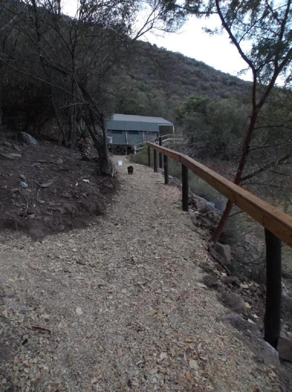 Old Mill Lodge, Seasonal Working Ostrich Farm & Restaurant, Oudtshoorn Quarto foto